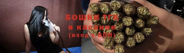 гидра Елизово