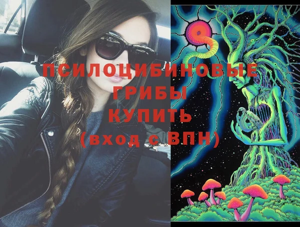 герыч Алексин