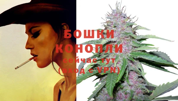 дурь Елабуга