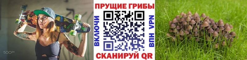 Галлюциногенные грибы мухоморы  Полтавская 